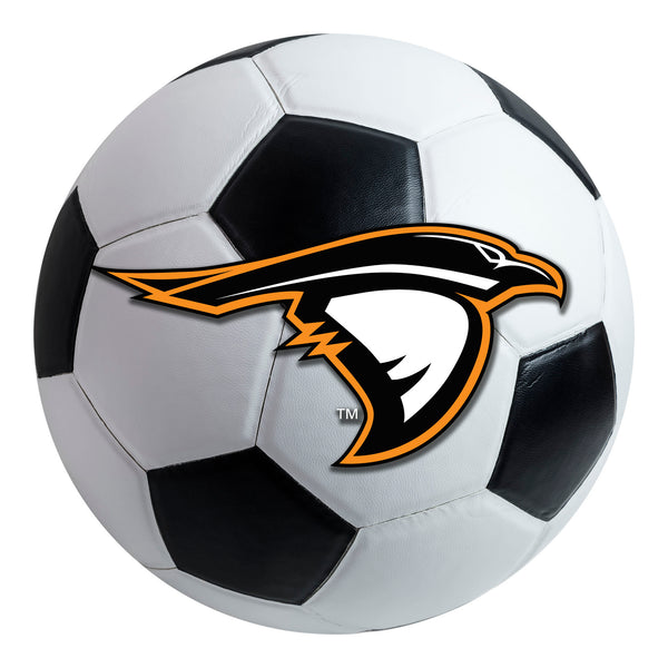 '-Soccer Ball Mat-True Sports Fan
