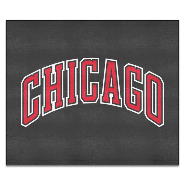 NBA - Chicago Bulls Tailgater Mat with Chicago Logo